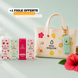 Pack Découverte
