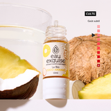 Coco Ananas - La Bio